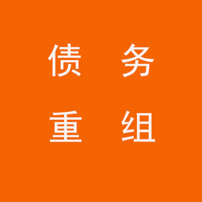 盐池个人债务重组优化
